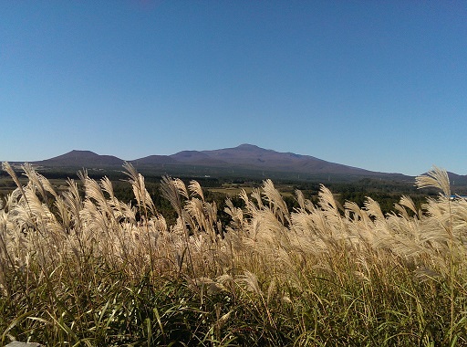 a0140305_212230.jpg