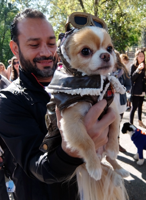 Tompkins Square Halloween Dog Parade 2014_b0007805_20182424.jpg