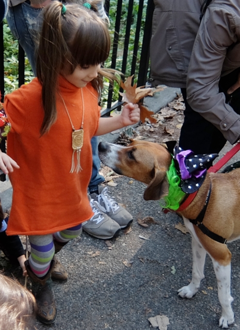 Tompkins Square Halloween Dog Parade 2014_b0007805_2020033.jpg