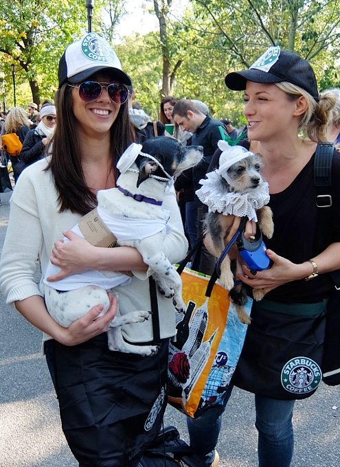 Tompkins Square Halloween Dog Parade 2014_b0007805_20205311.jpg