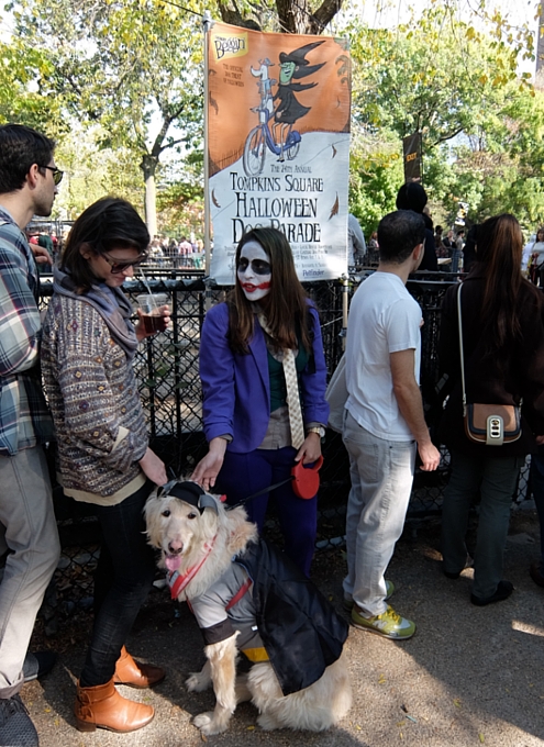 Tompkins Square Halloween Dog Parade 2014_b0007805_20215917.jpg
