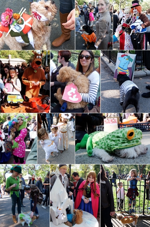 Tompkins Square Halloween Dog Parade 2014_b0007805_20234157.jpg