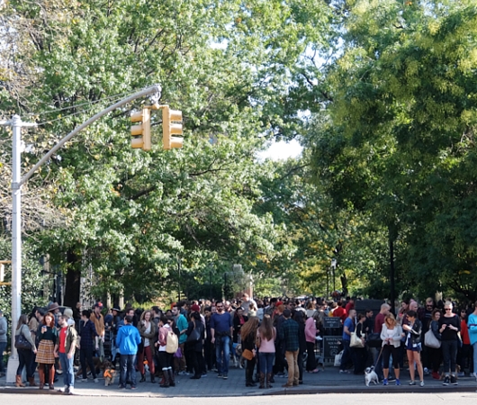 Tompkins Square Halloween Dog Parade 2014_b0007805_2040413.jpg