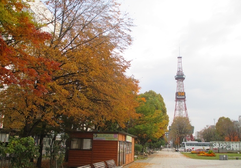 b0183111_7425334.jpg