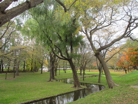 b0183111_8554719.jpg