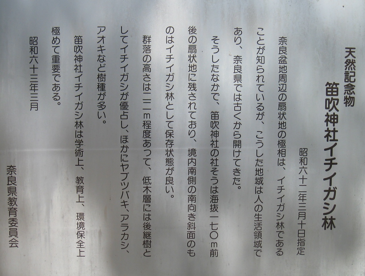 d0287413_13291284.jpg