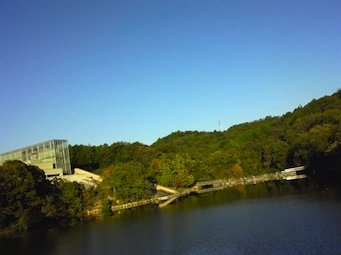 ひといき_d0263815_1750492.jpg