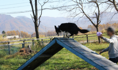 a0232619_202726.gif