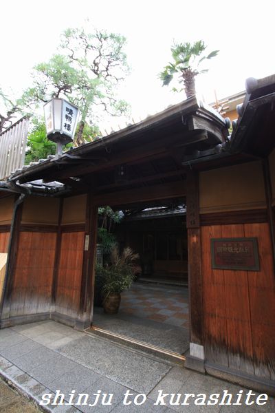 犬連れ関西旅行vol ３ A お宿その４ 真珠 と暮らして
