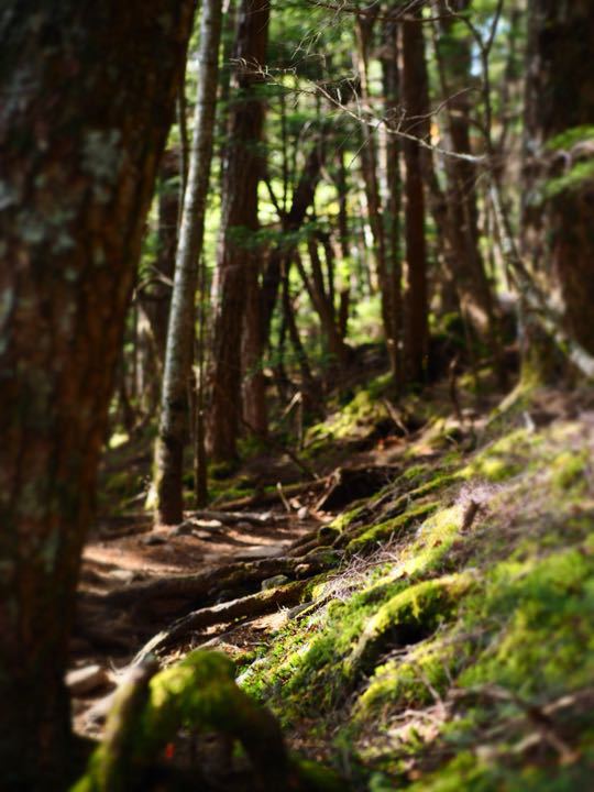 b0244424_0332131.jpg