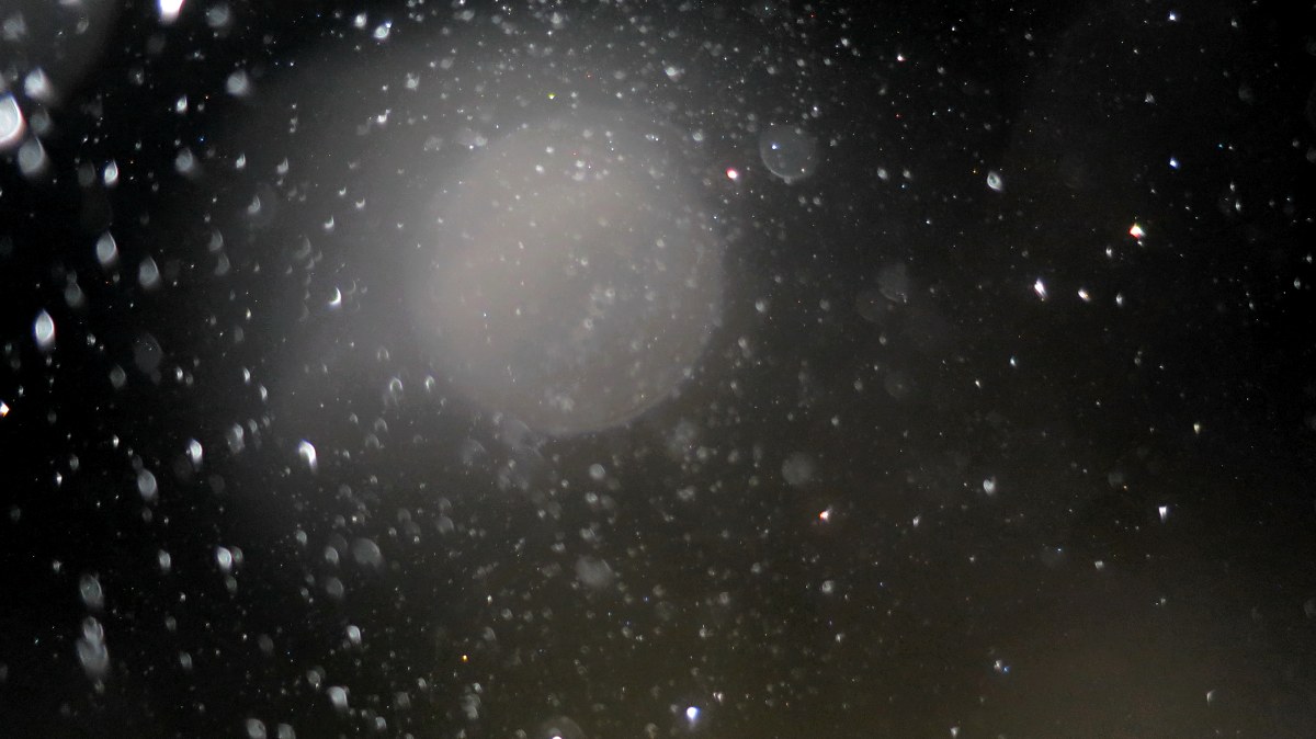 c0331825_20344741.jpg