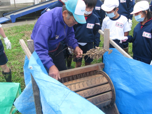 大豆収穫!南中山小学校三年生!!_e0061225_16483890.jpg