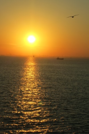 海ほたるからの夕景_a0259130_2257938.jpg