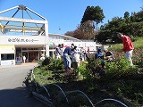 f0167635_848331.jpg