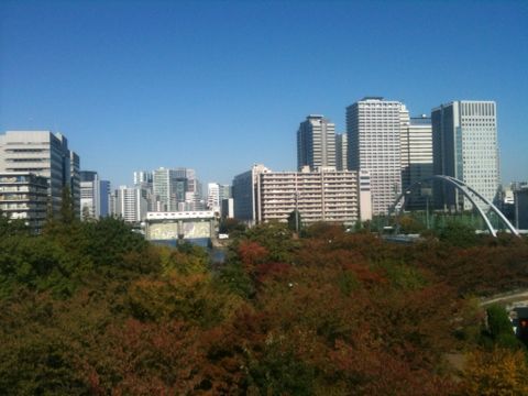 東品川海上公園、天王洲公園(品川区)(10月29日)_e0213636_1716652.jpg