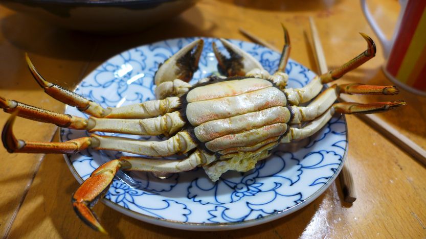モクズガニは今が旬です くま先生の滋賀が大好き モクズガニは今が旬です くま先生の滋賀が大好き