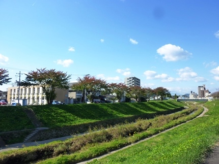 b0169238_21242556.jpg