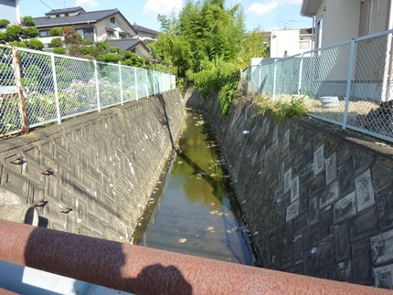 b0169238_21242881.jpg