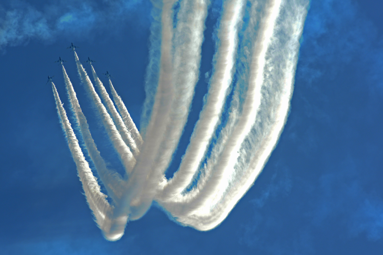 a0136639_23332815.jpg