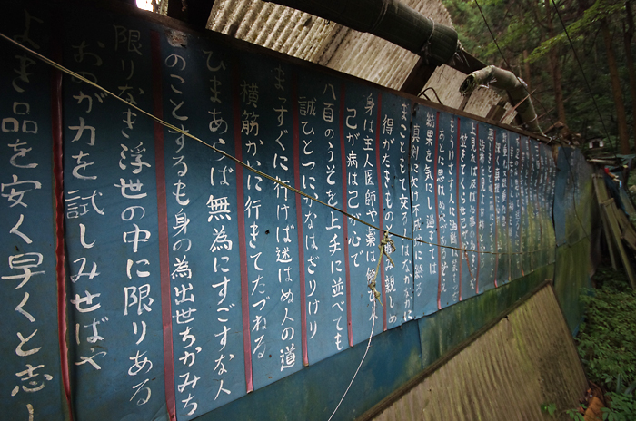 b0130243_2053485.jpg