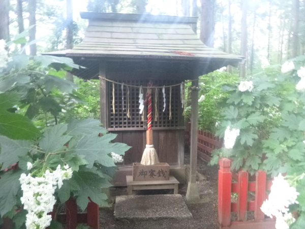 八幡宮の稲荷神社_b0330744_00172931.jpg