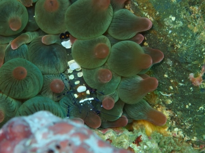 d0058549_15474182.jpg