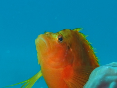 d0058549_1551860.jpg