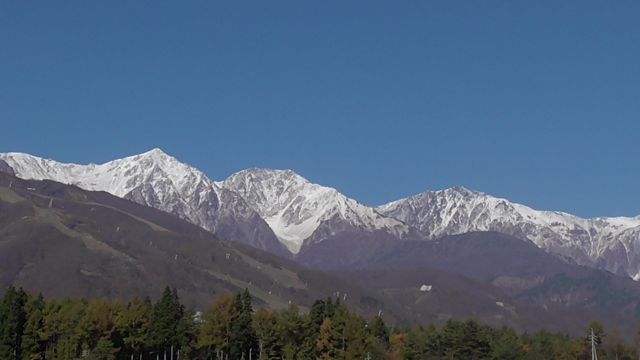 c0254151_2163323.jpg