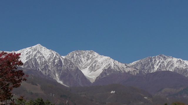 c0254151_2164462.jpg