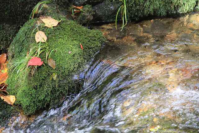 １０月２５日　岡山県立森林公園　熊押しの滝_f0340155_16303905.jpg