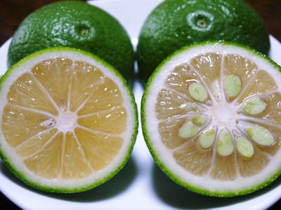 種なしかぼす ギョウザに「かぼす」を生搾り!!これがきっとギョウザの主流の食べ方になるんです!_a0254656_17382132.jpg