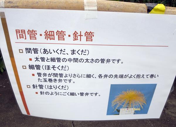 【神奈川県菊花大会@大船フラワーセンター】_c0042960_2011336.jpg