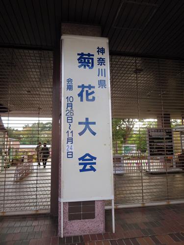 【神奈川県菊花大会@大船フラワーセンター】_c0042960_2082039.jpg
