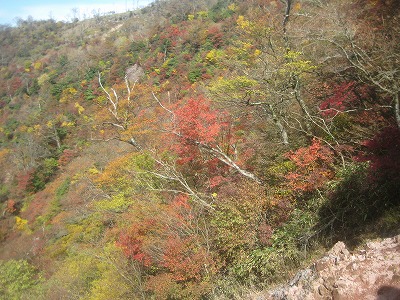 英彦山の紅葉・黄葉_a0093965_22252993.jpg