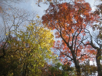 英彦山の紅葉・黄葉_a0093965_22384275.jpg