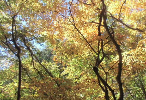 c0273271_1412091.jpg