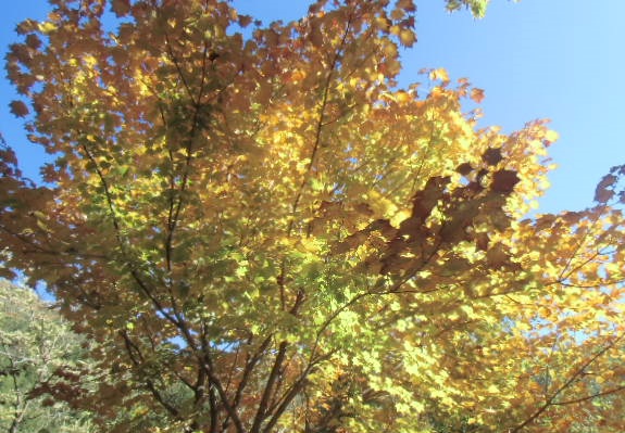 c0273271_14124190.jpg