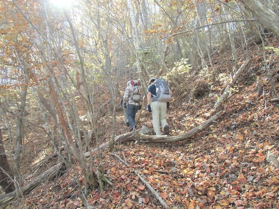 c0273271_14251100.jpg