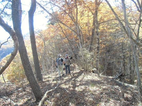 c0273271_1434415.jpg