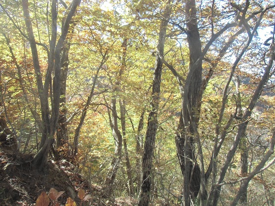 c0273271_1444931.jpg