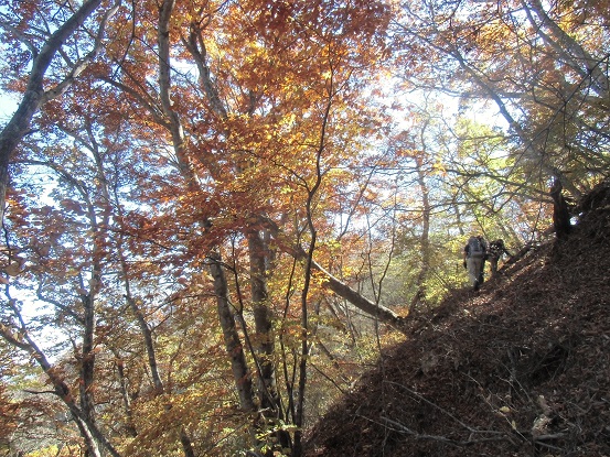 c0273271_1473978.jpg