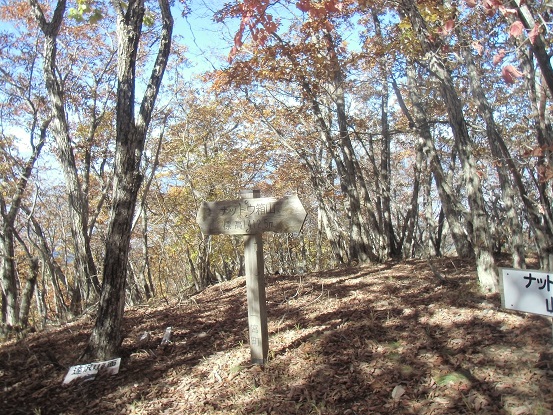 c0273271_1484586.jpg