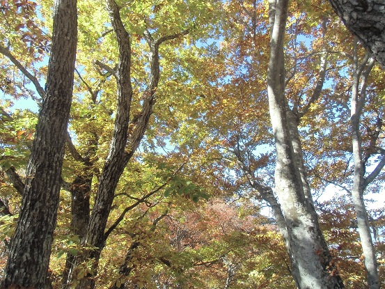 c0273271_149278.jpg