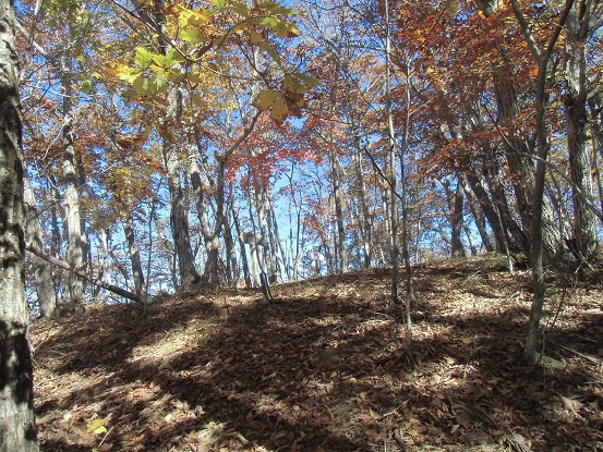c0273271_1612599.jpg