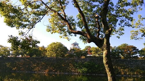 d0331971_1427935.jpg