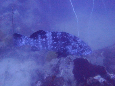 c0039073_0211852.jpg