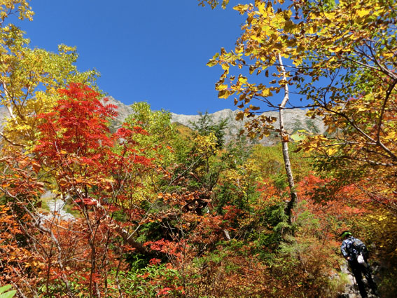 f0084573_19255025.jpg