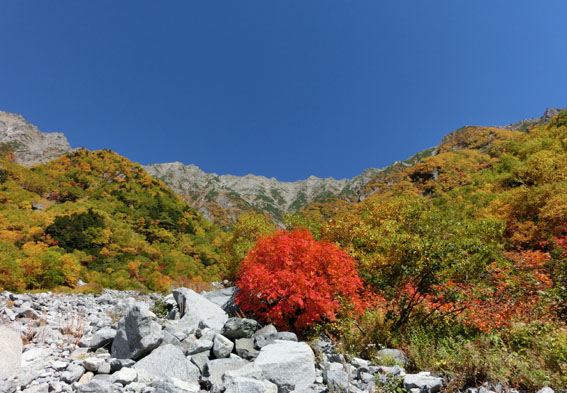 f0084573_19274131.jpg