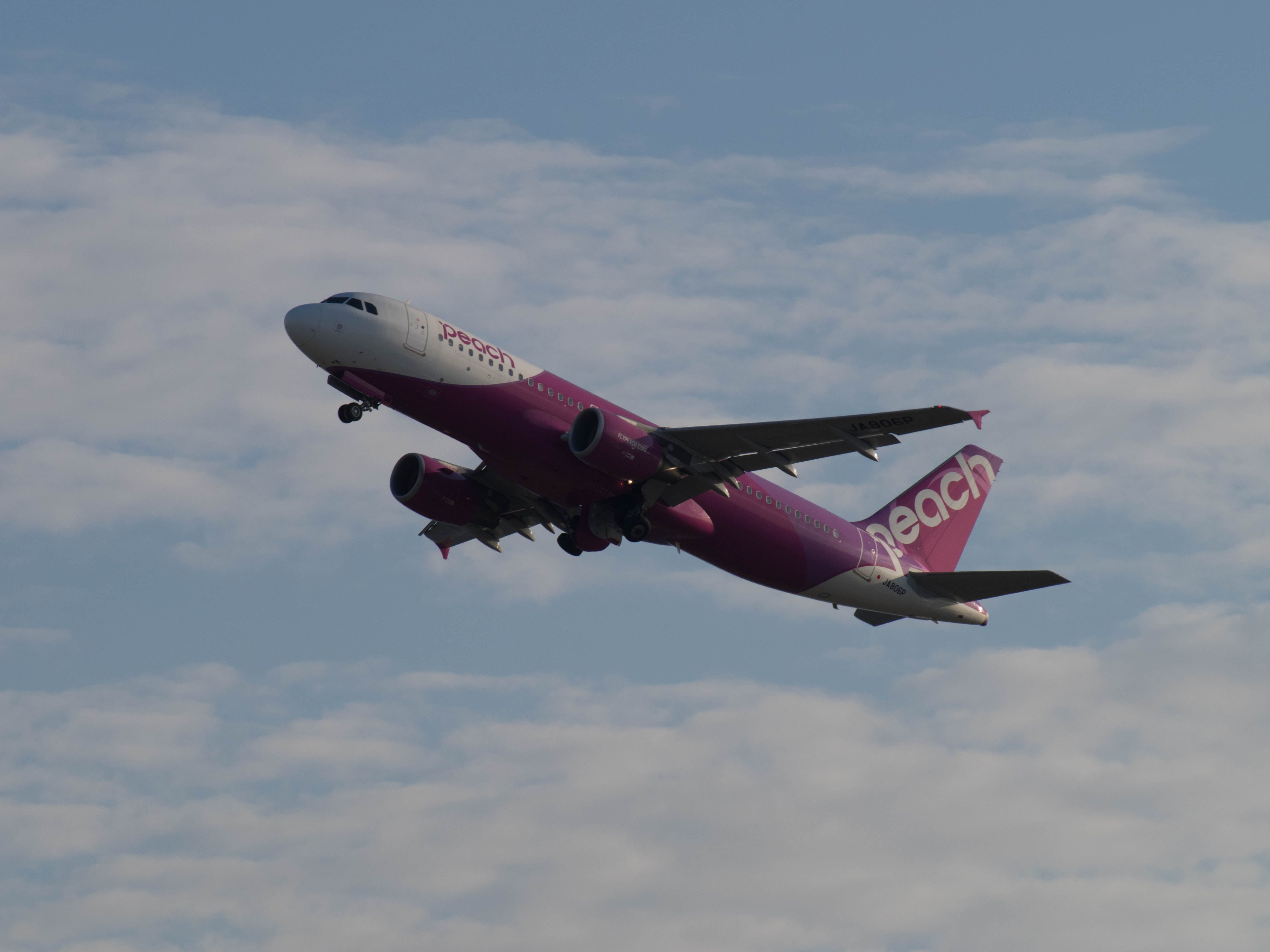 Om D E M1 Lumix G Vario 100 300mm で飛行機を撮影したレビュー 徒然をまぎらわす