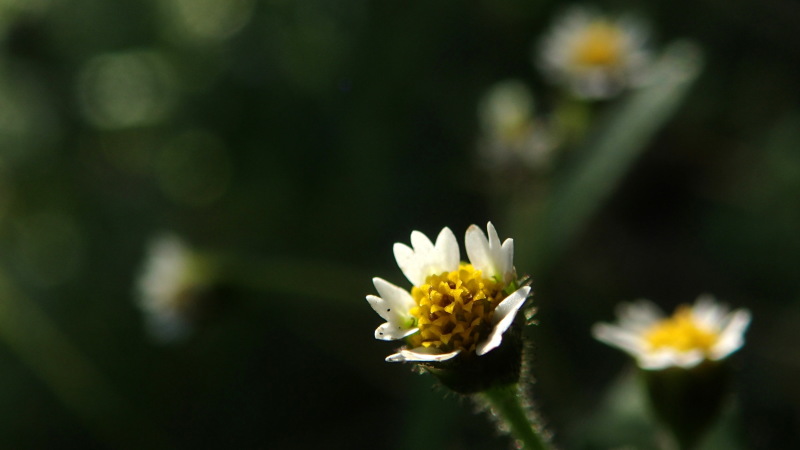 e0024081_16575271.jpg